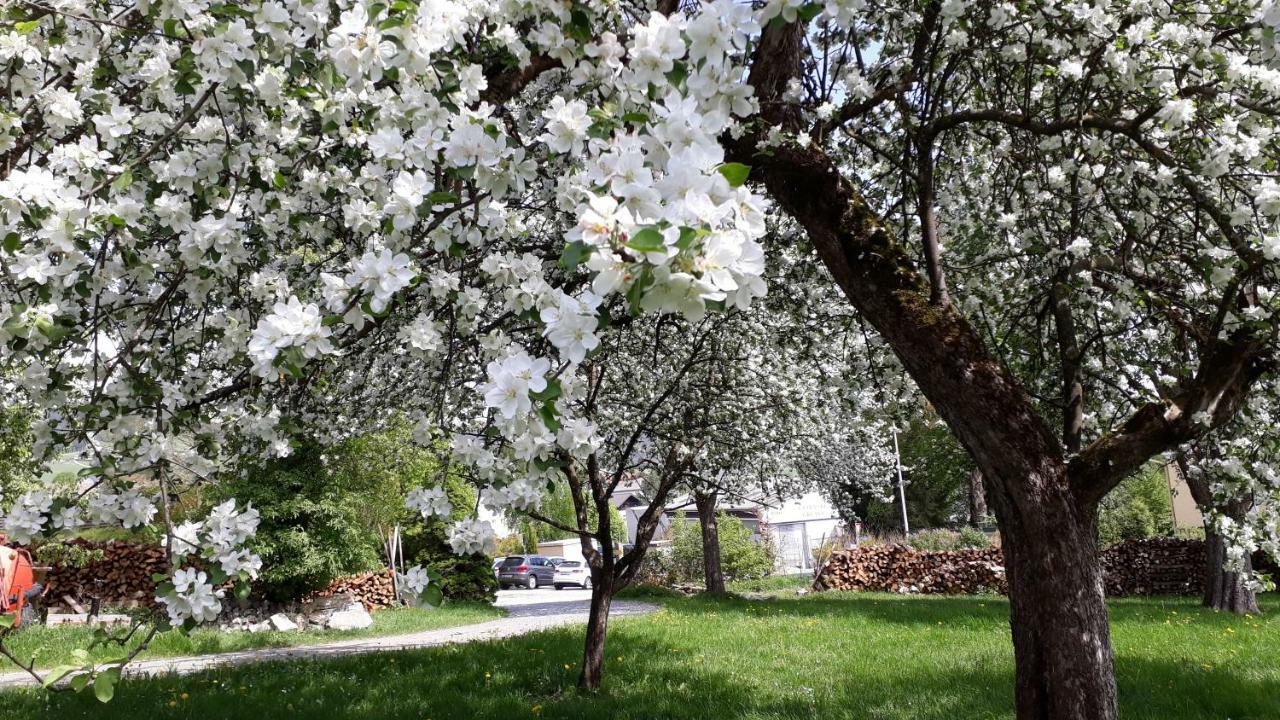 Ferienwohnungen Veit Aigen im Mühlkreis Buitenkant foto